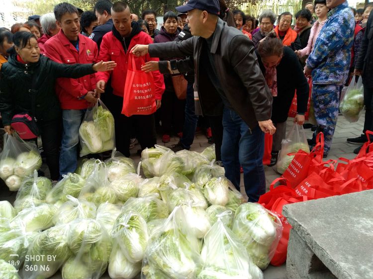 送温暖、献爱心——东运物流为广元社区低保户送去爱心蔬菜